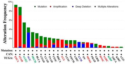 Analysis of the Expression and Role of Keratin 17 in Human Tumors